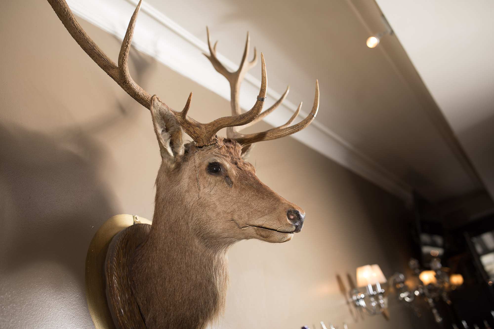 Export x3 5D4 7806 Businessshooting 2017 Pixelhirsch